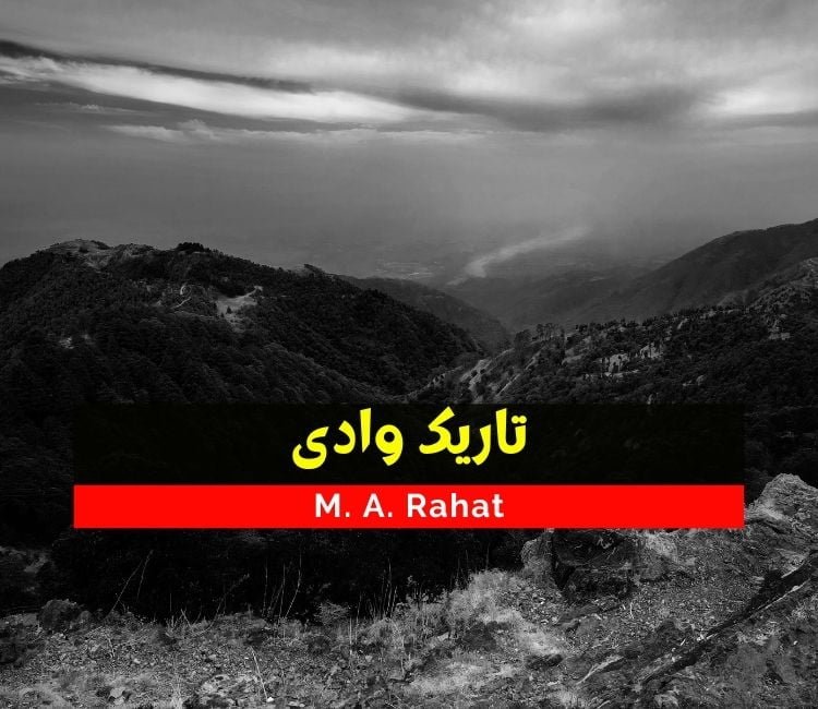 Tareek Wadi Urdu Novel by M.A Rahat Free Downloads 2021